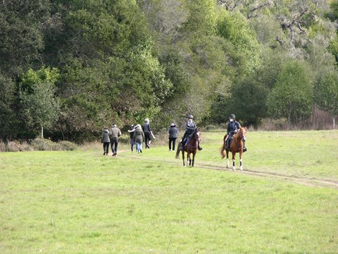 Two horse riders and six hikers head in opposite directions through a grassy, green meadow.