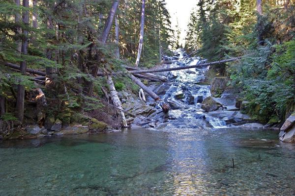 A cascading waterfall empties into a clear blue pool surrounded by rocks and forest.