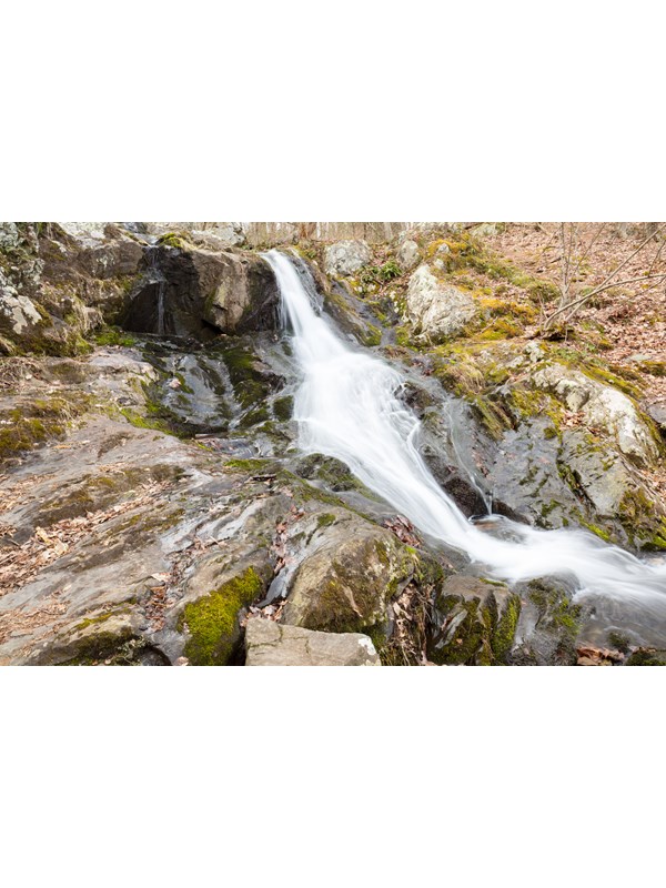 A small waterfall cascades down rocks amidst brown leaves.