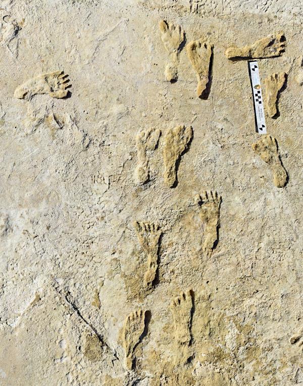 Tan surface with several darker footprint impressions. A photo scale provides size context