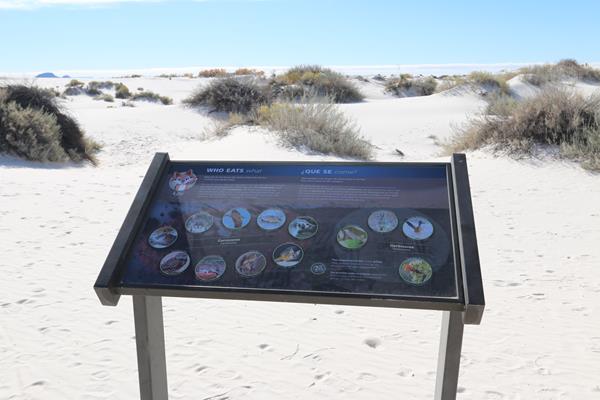 The "Who Eats What?" interpretive sign at Dune Life Nature Trail.