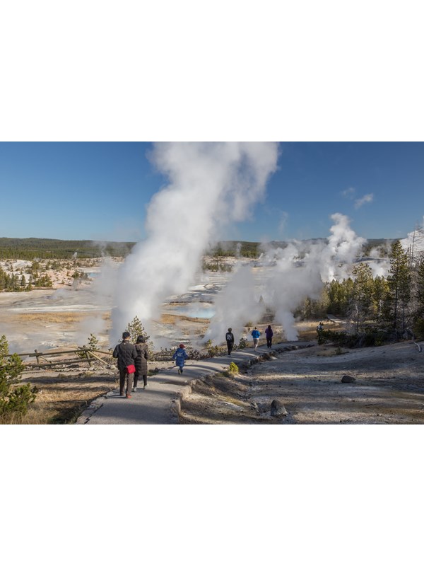 People walk down a trail towards a steaming geyser basin.