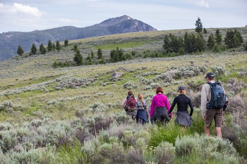 Hikers travel along a trail through the sagebrush with a mountain peak in the distance.