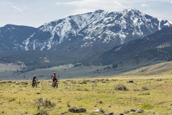 Two people bike through a field of sagebrush in front of a mountain.