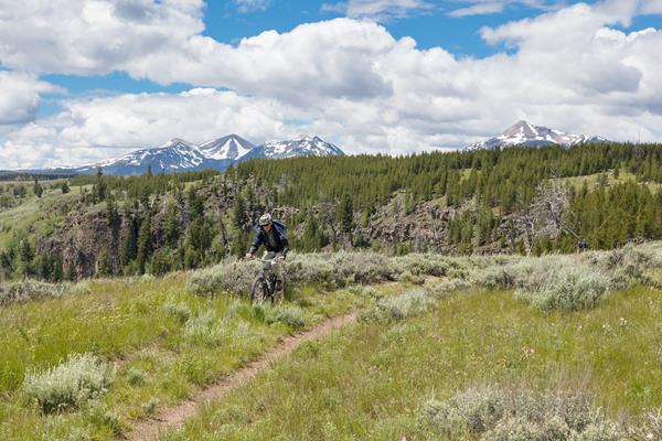 A person bikes on a trail through a field of sagebrush with mountains in the distance.