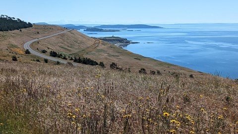 A grassy hill on a island with a winding road and a lighthouse in the distance