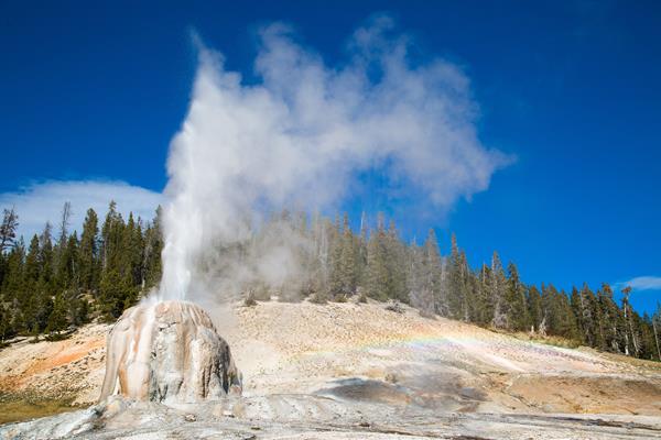 Steam and water erupt from the tan cone of Lone Star Geyser. A rainbow appears in the mist.
