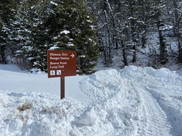 A brown sign that reads Historic 1913 Ranger Station and Beaver Pond Loop Trail with an arrow.
