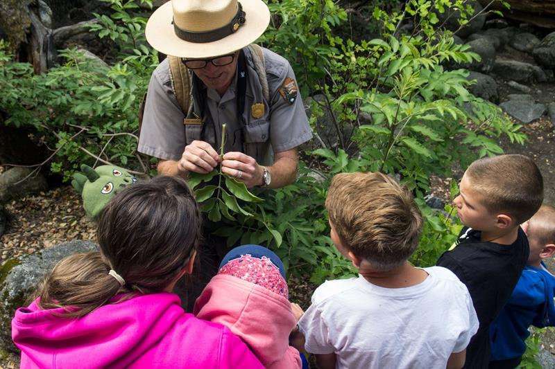 Become a Yosemite Junior Ranger