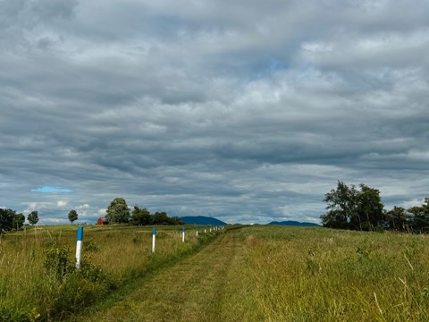 A mowed path cuts through a field. A red house and mountains are in the background.