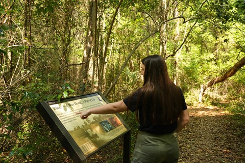 A woman points to an illustration on a sign on a forest trail.