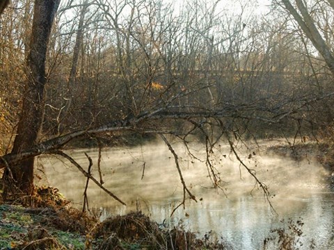 Wilson's Creek in the early morning with the sunshining on the water and the mist rising in the air.