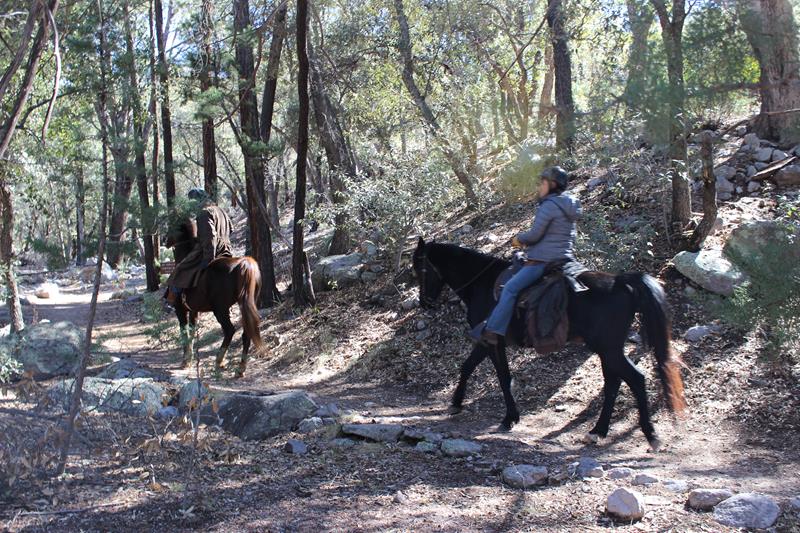 Horseback Riding at Chiricahua