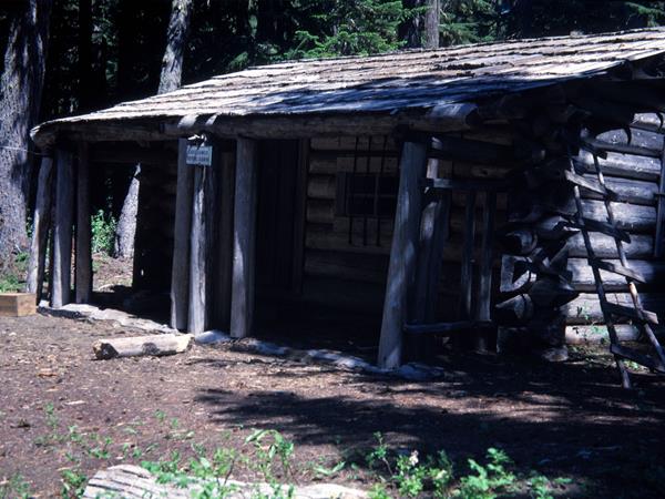 Log cabin surrounded by trees