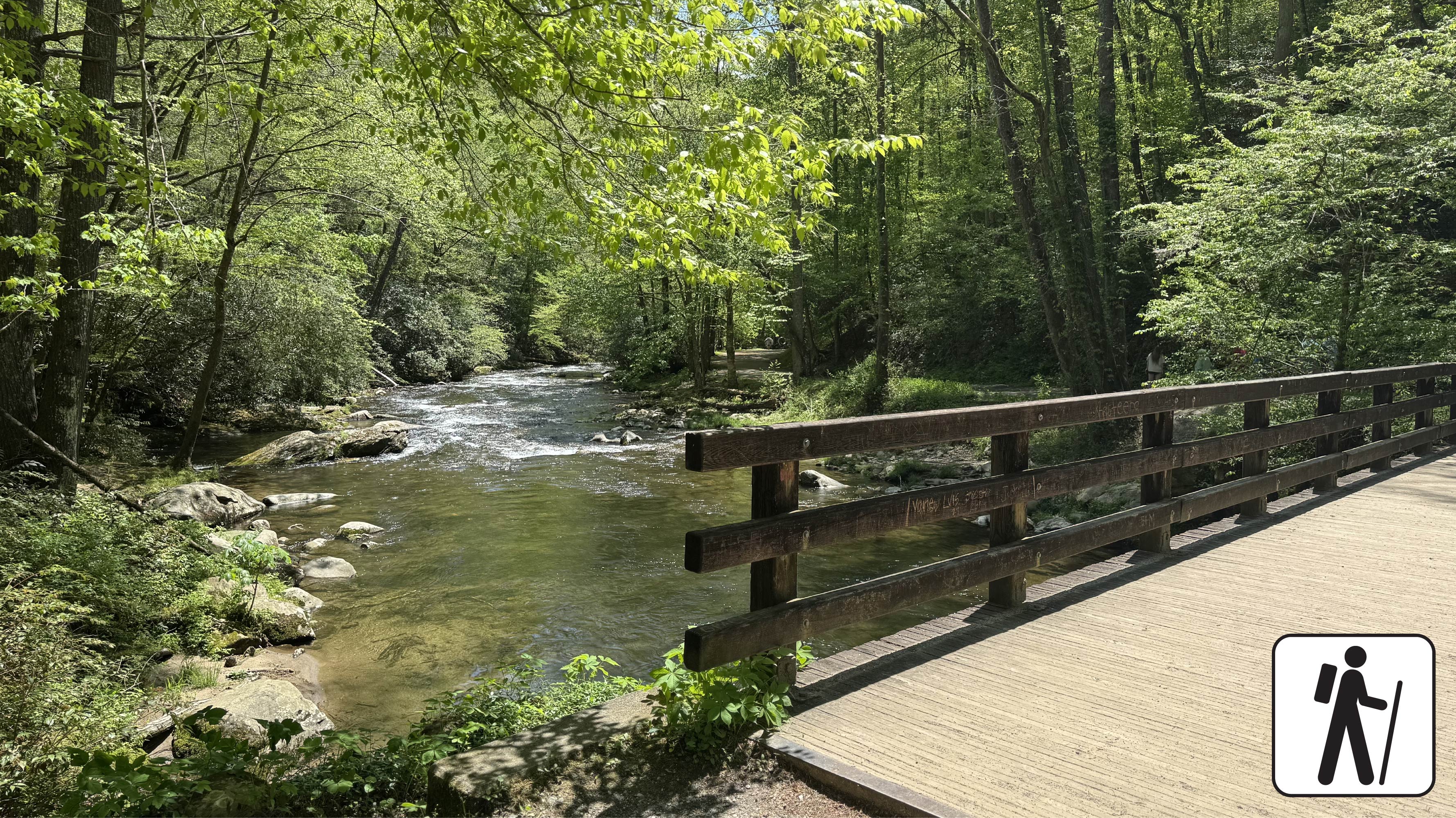 A bridge over a stream in the forest. Hiker icon in corner.
