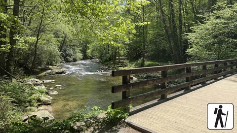 A bridge over a stream in the forest. Hiker icon in corner.