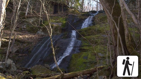 A small waterfall flowing over mossy rocks in the forest.