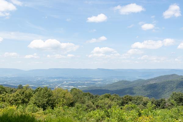 Green trees surround an overlook looking down into a valley below.