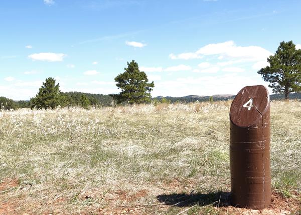 Post #4 An "Uplifting" Story