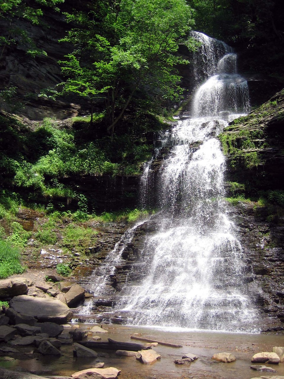 Water flowing down dark brown moss covered rocks into a shallow pool of water