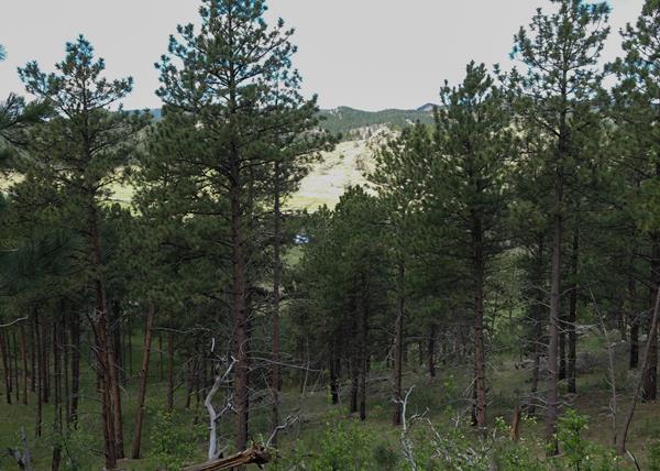 Post #5 Open Spaces are Great Places