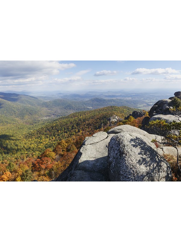 A summit of rocks highlighted by the yellows and reds of fall colors.