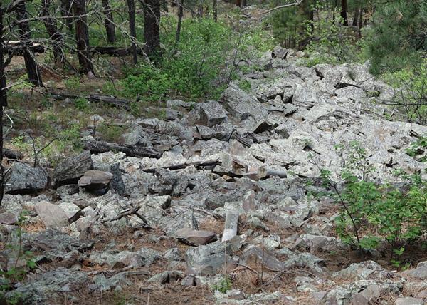 Post #9 Life In The Rocks