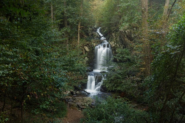 A waterfall is surrounded by a dense, green forest.