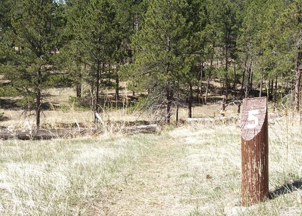 Post #5 Life on the Edge