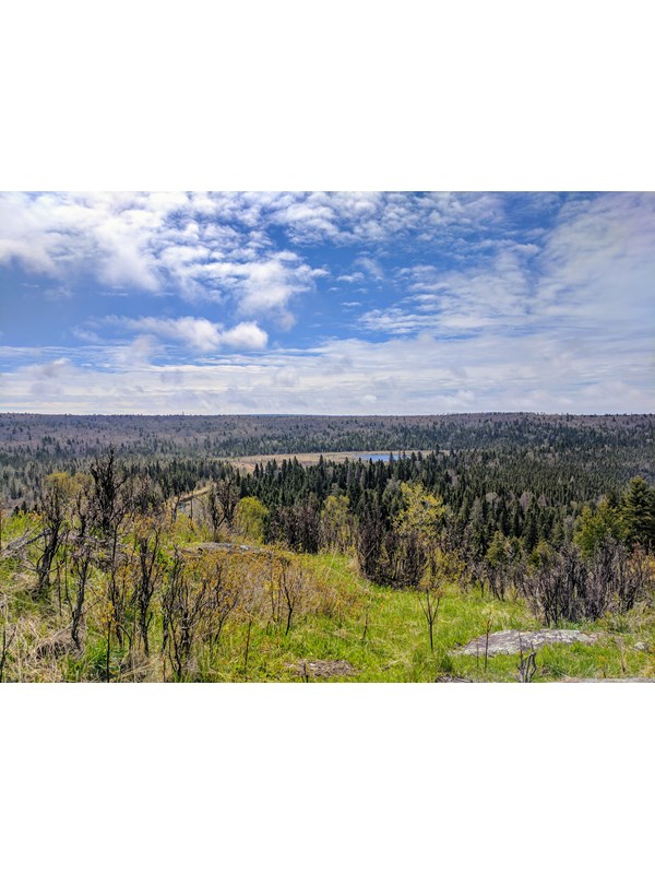 Cloudy skies overlook forested ridges and a creek in the distance.