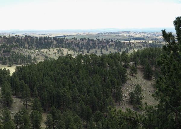 Post #11 The Great Prairie