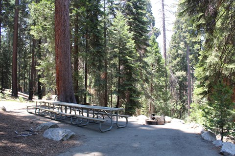 A long picnic table sits under trees next to a campfire ring with grill
