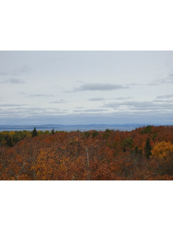 View from ridgetop with trees in fall foliage, Lake Superior, and the Canadian shoreline.