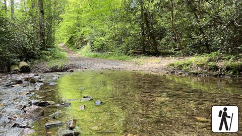 A water crossing along a trail in the forest, in the bottom right corner is a hiker icon.