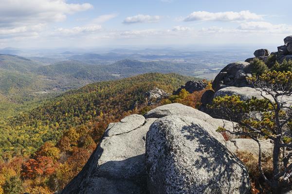Color photo, a summit of rocks highlighted by the yellows and reds of fall colors.