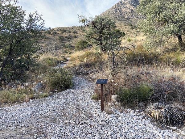 A trail junction sign stands along a trail in a desert scrub landscape