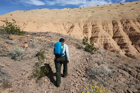 A ranger hiking up an incline on the Lake View Trail.