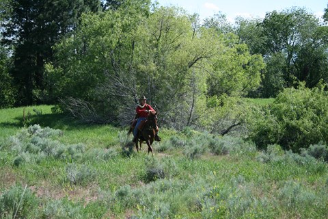 Person in red shirt horseback riding