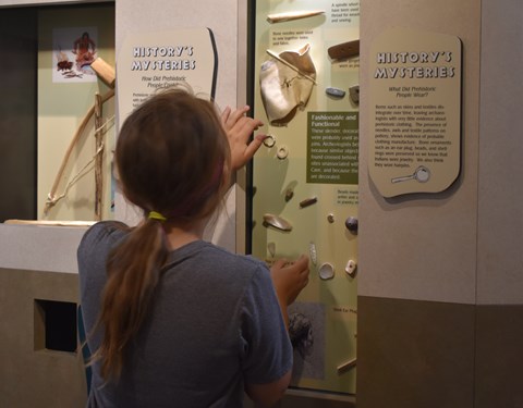 A child with long hair looks into a display of shell artifacts