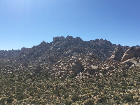 The granite mountains look like tan boulders piled on top of each other. Green bushes in foreground.