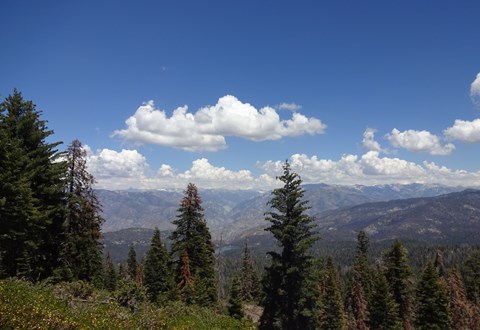 Forested ridges in the foreground with a far mountain landscape and cumulus clouds beyond