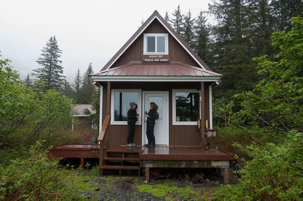 A cabin sits in the middle of a crop of trees.