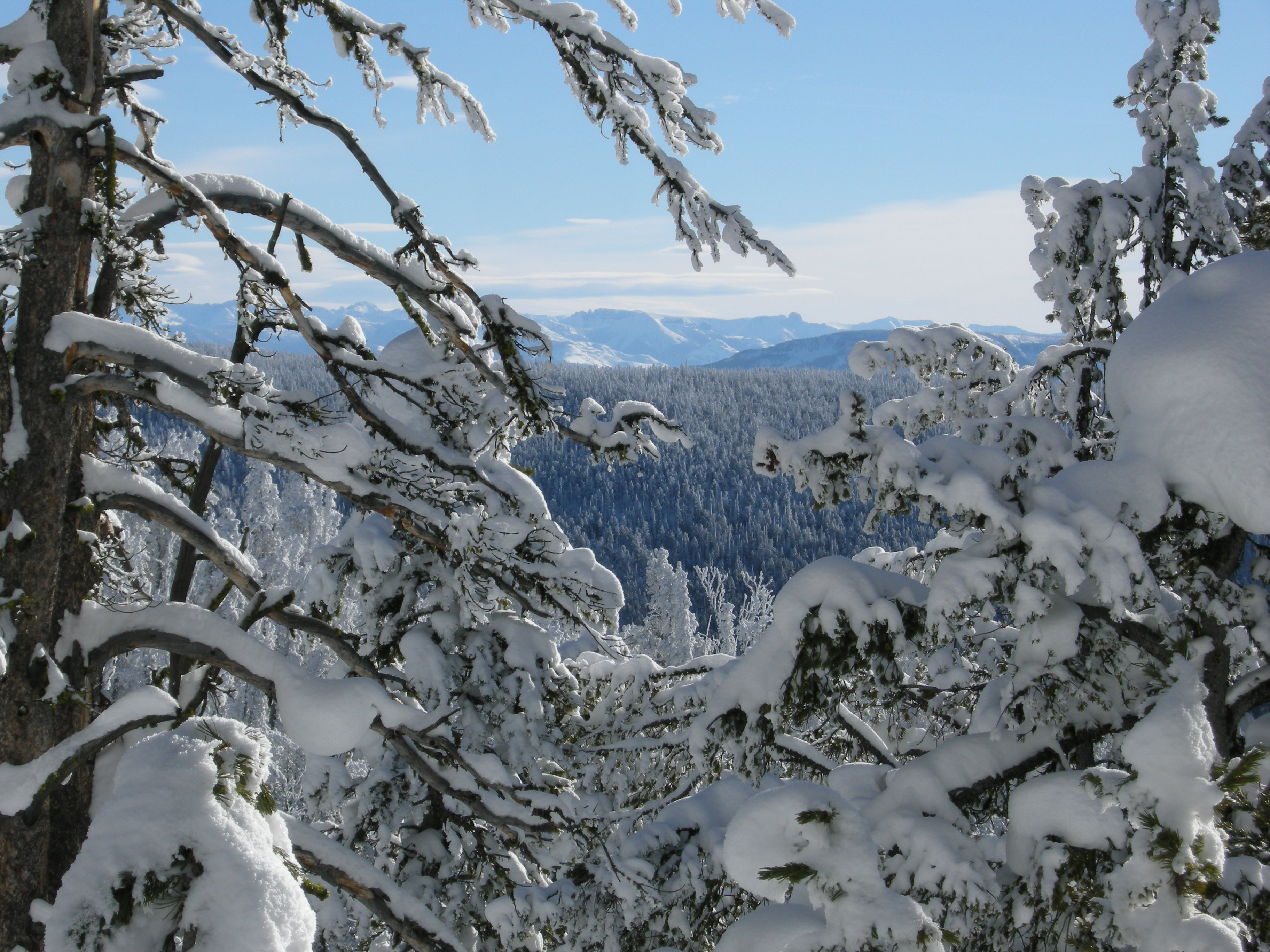 Glimpses of mountain views can be seen through the trees along the Divide Ski Trail.