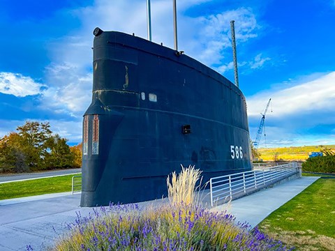 Color photograph of purple flowers in front of the top of a submarine that sits on the sidewalk.