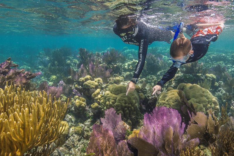 Snorkel Little Africa