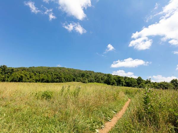 A color photograph of an open meadow with rolling hills and trees in the distance.
