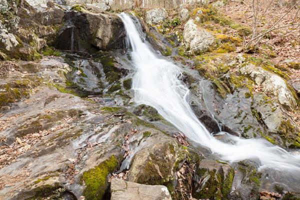 A small waterfall cascades down rocks amidst brown leaves.