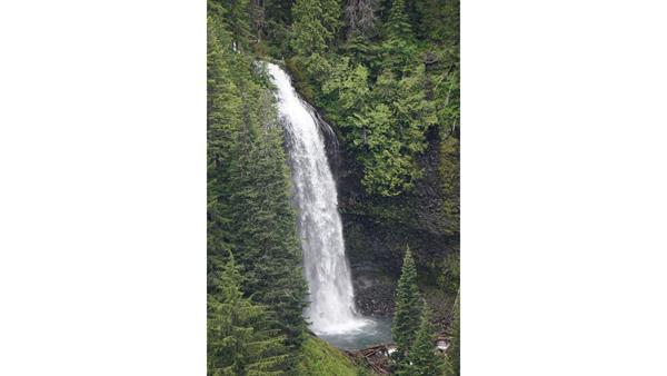 125 foot waterfall surrounded by conifer trees