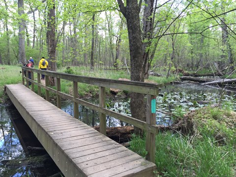 a 20-foot wooden bridge with a handrail over a small creek