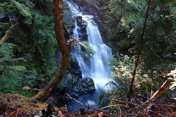 Horsetail-shaped waterfall about 50 feet tall